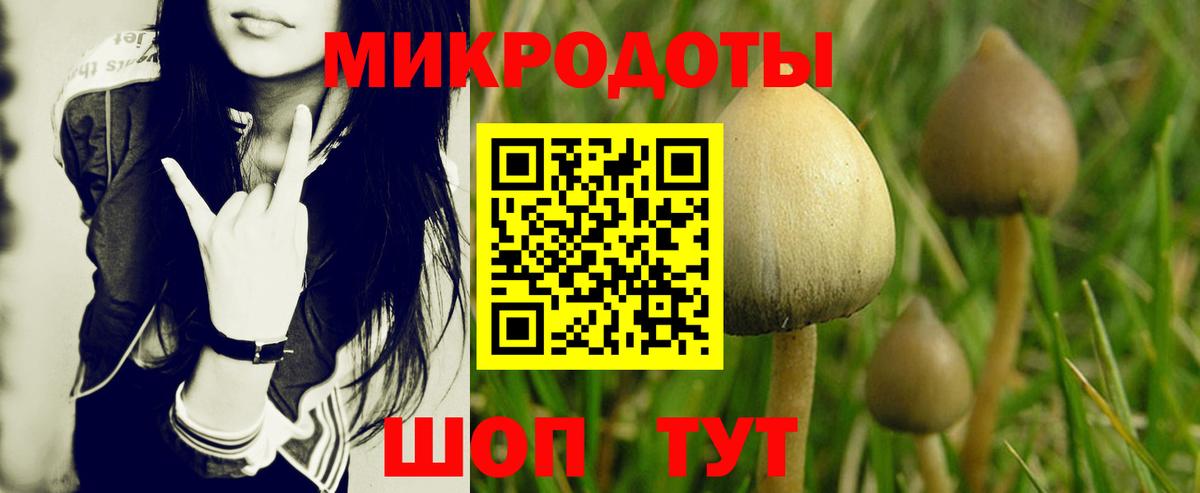 Советский  Псилоцибиновые грибы Magic Shrooms  Вход с VPN  Галлюциногенные грибы Psilocybe 