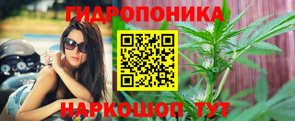 Марихуана марихуана Советский